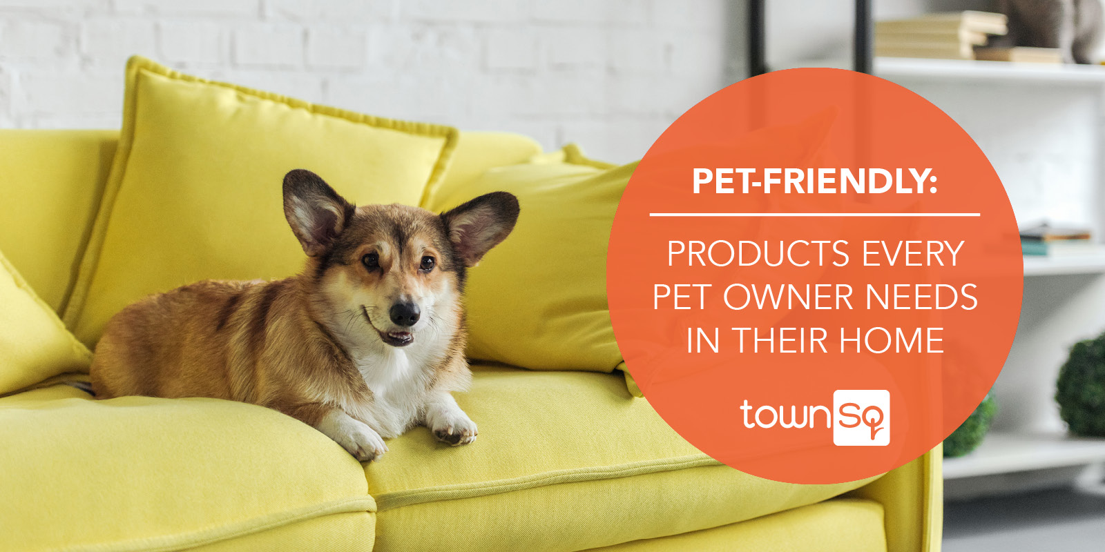 PetFriendly Products Every Pet Owner Needs in Their Home