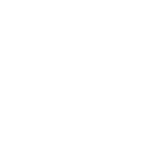 Bloom & Wild