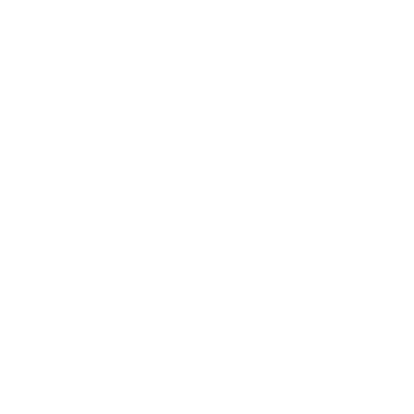 Flite