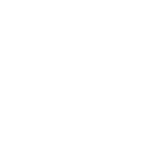 Multiverse