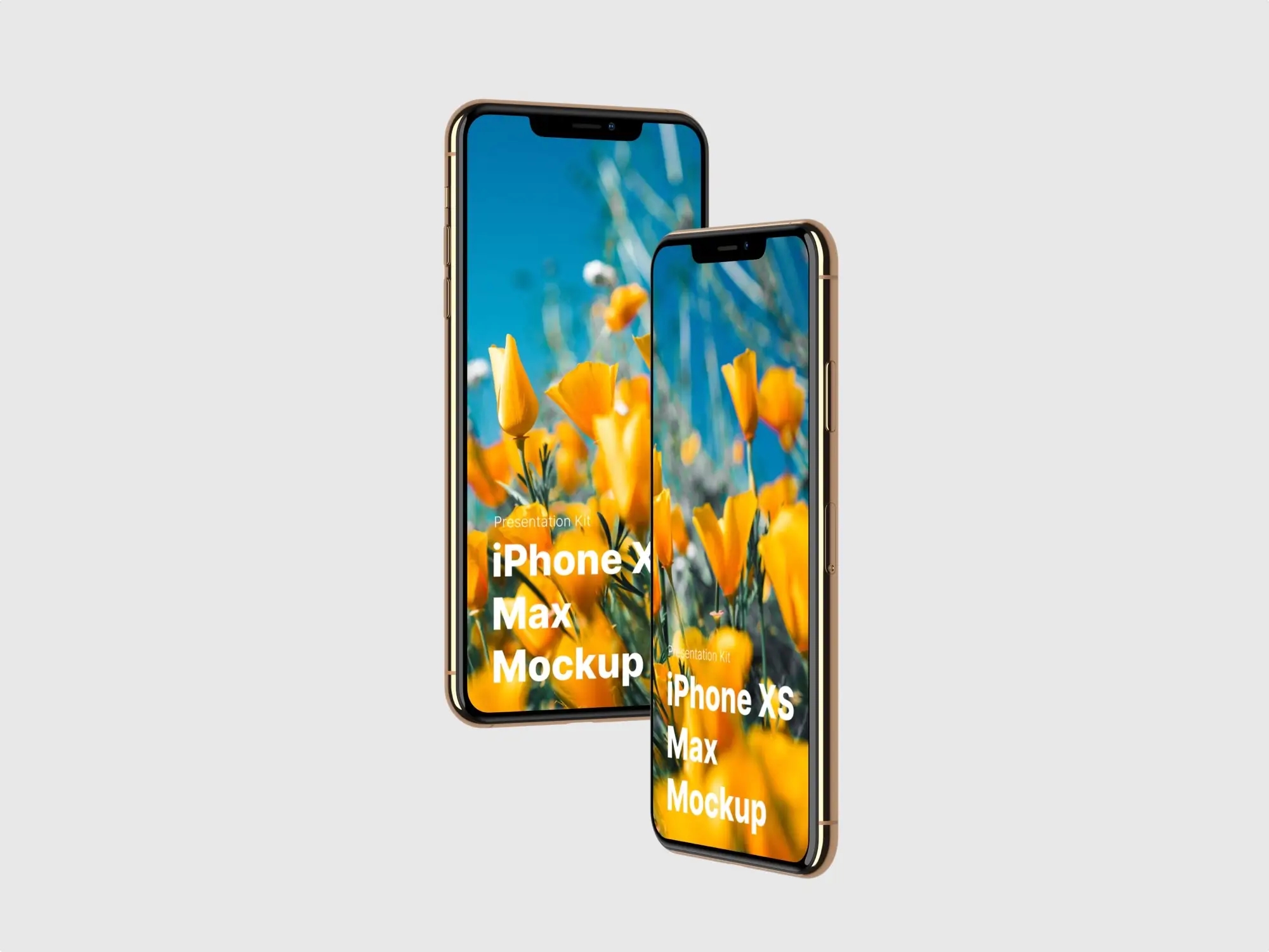 Download iPhone XS Max Mockups Premium Mockups Collection ls.graphics