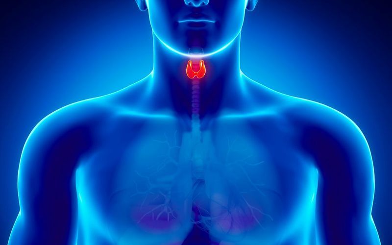 The Best Greens for Your Thyroid and Kidneys! The Whole Journey