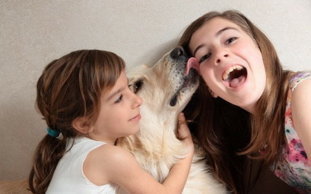 How Kissing Your Dog Or Having A Cat Affects Your Gut (Parasites