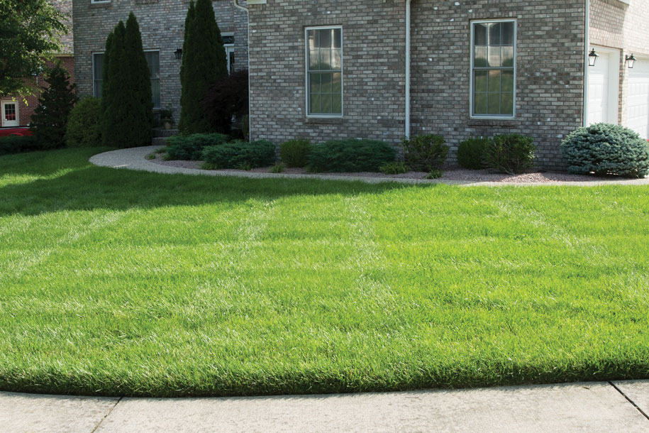 Turf Maintenance Lime Application Black Diamond Pest Control