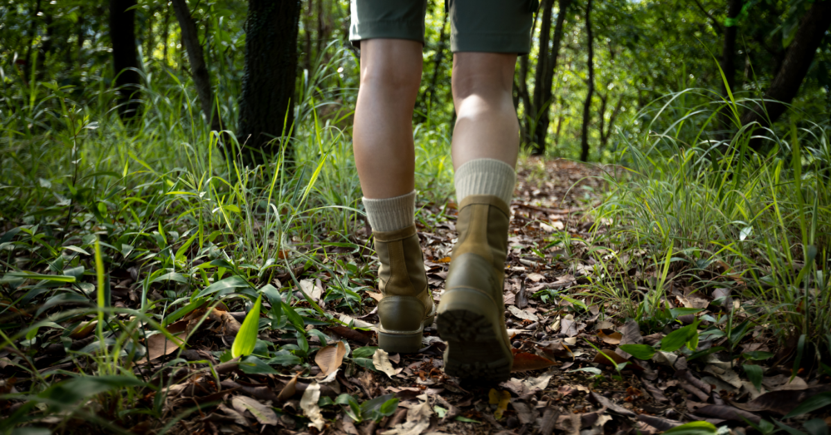 Best Hiking Trails In Queens County Hikers University