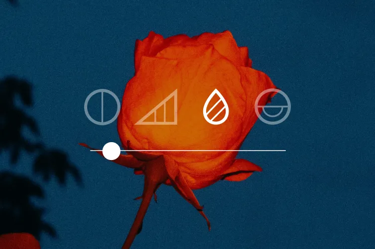 VSCO Stories | Find & Share Creative Inspiration