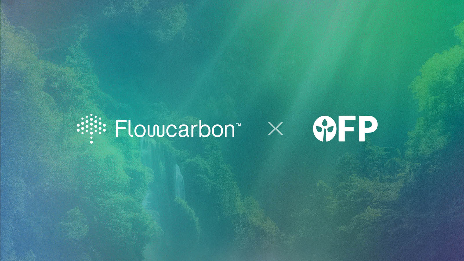 Curated visual reference: Open Forest Protocol Partners With Flowcarbon To Provide Open Mrv Photo Inspiration