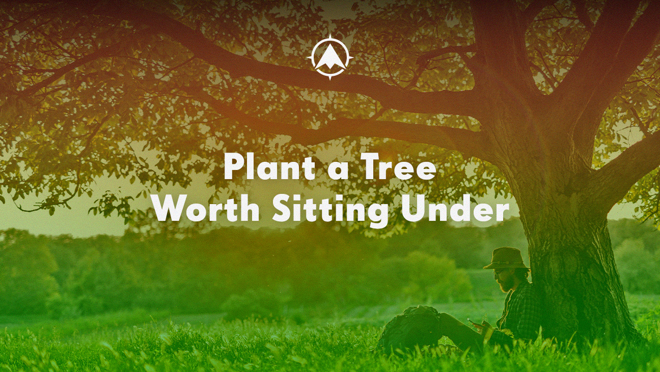 Plant a Tree Worth Sitting Under On The Mark Strategies