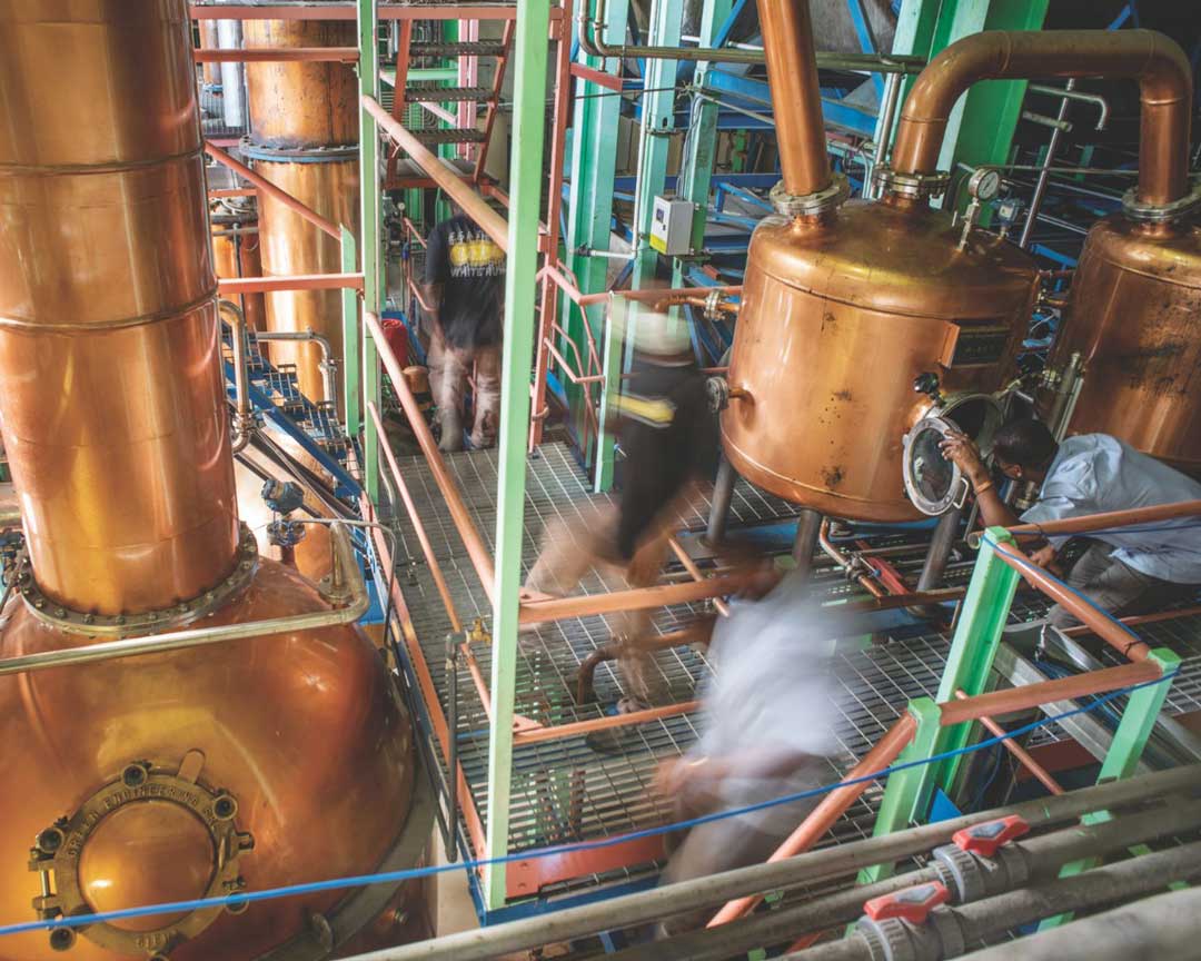 Spotlight on Foursquare Rum Distillery