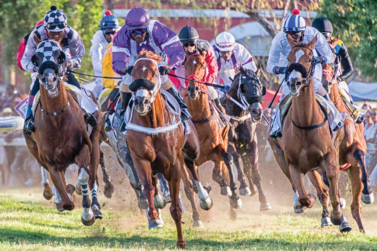 Events Calendar | Business Barbados 2024