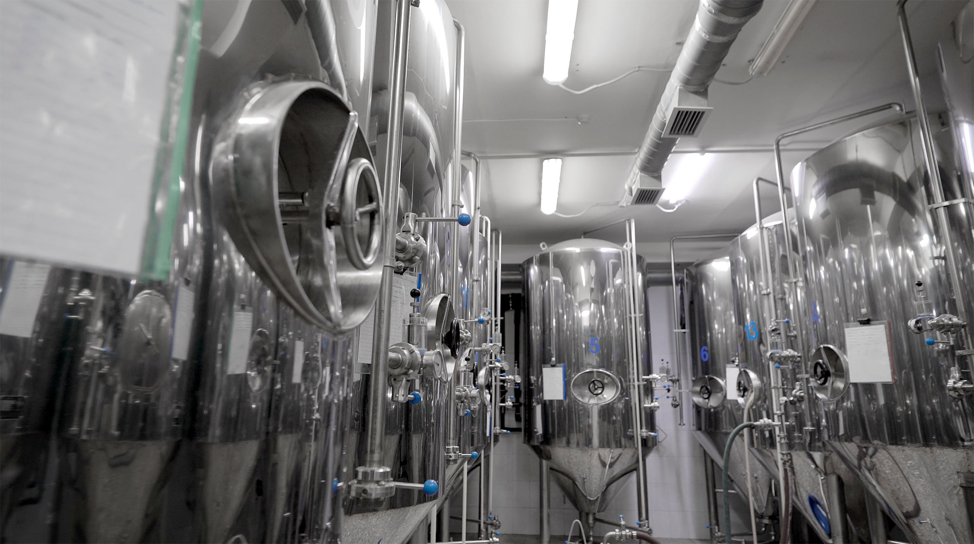 Eden Brew Blog What is precision fermentation?