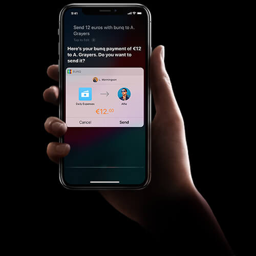 Siri screen