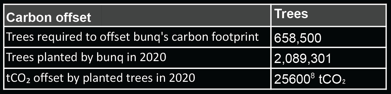Carbon offset details