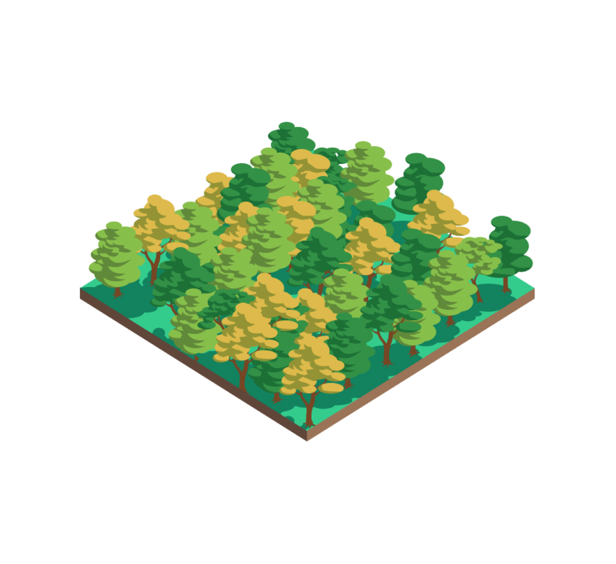 Feature visual