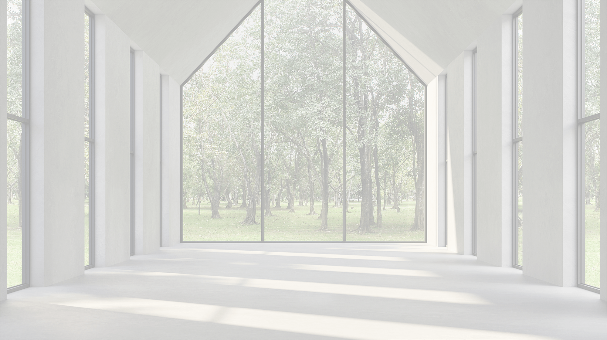 lezar house bg