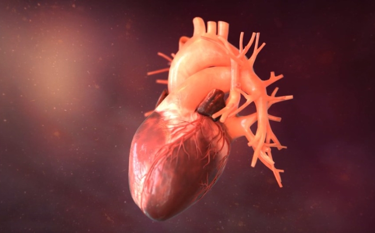 Leia Inc. and Infuse Medical announce partnership