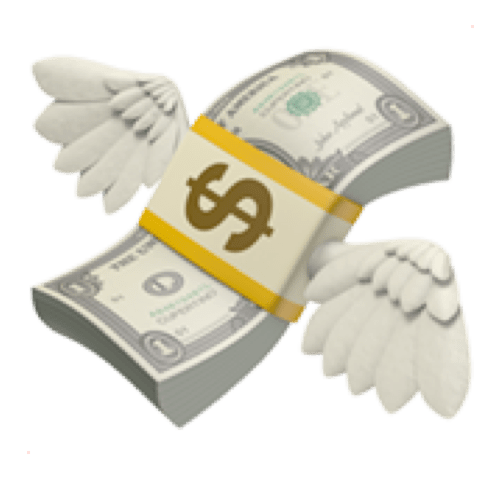 💸