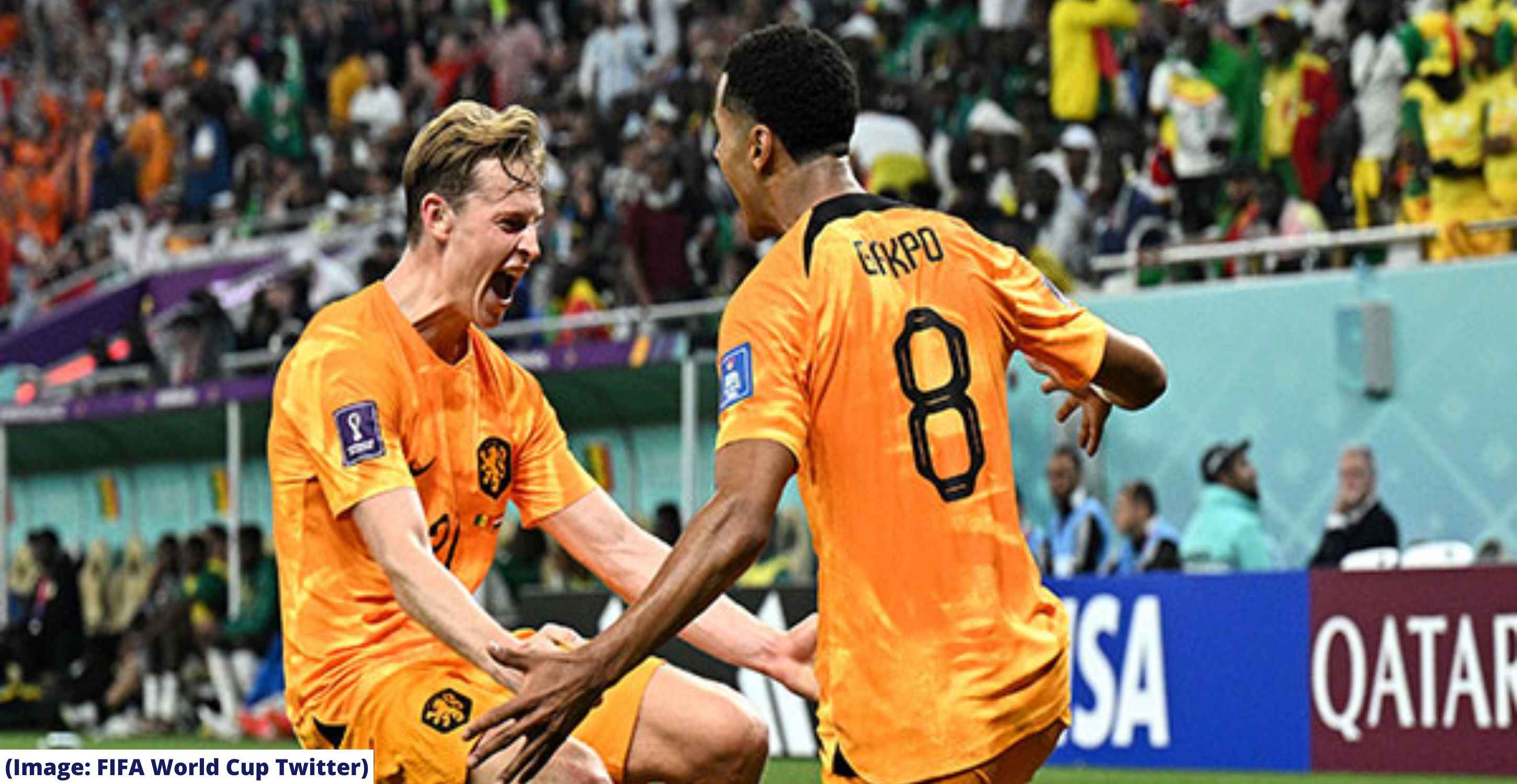 FIFA World Cup 2022: Gakpo, Klaassen guide Netherlands to 2-0 win over Senegal