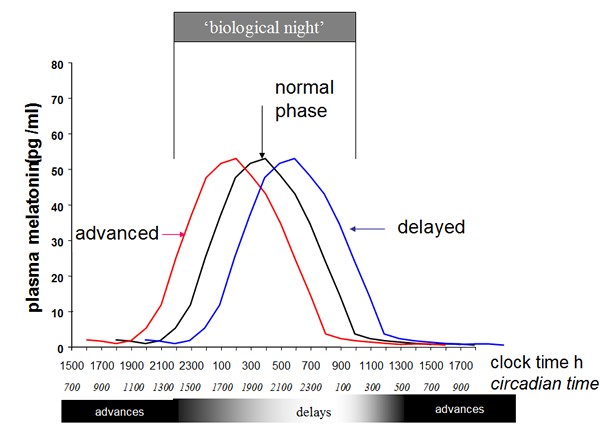Trait: Sleep/Wake Cycle | FitnessGenes®