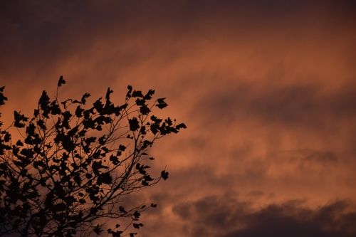 B-Roll shot of the night sky in Leeuwarden