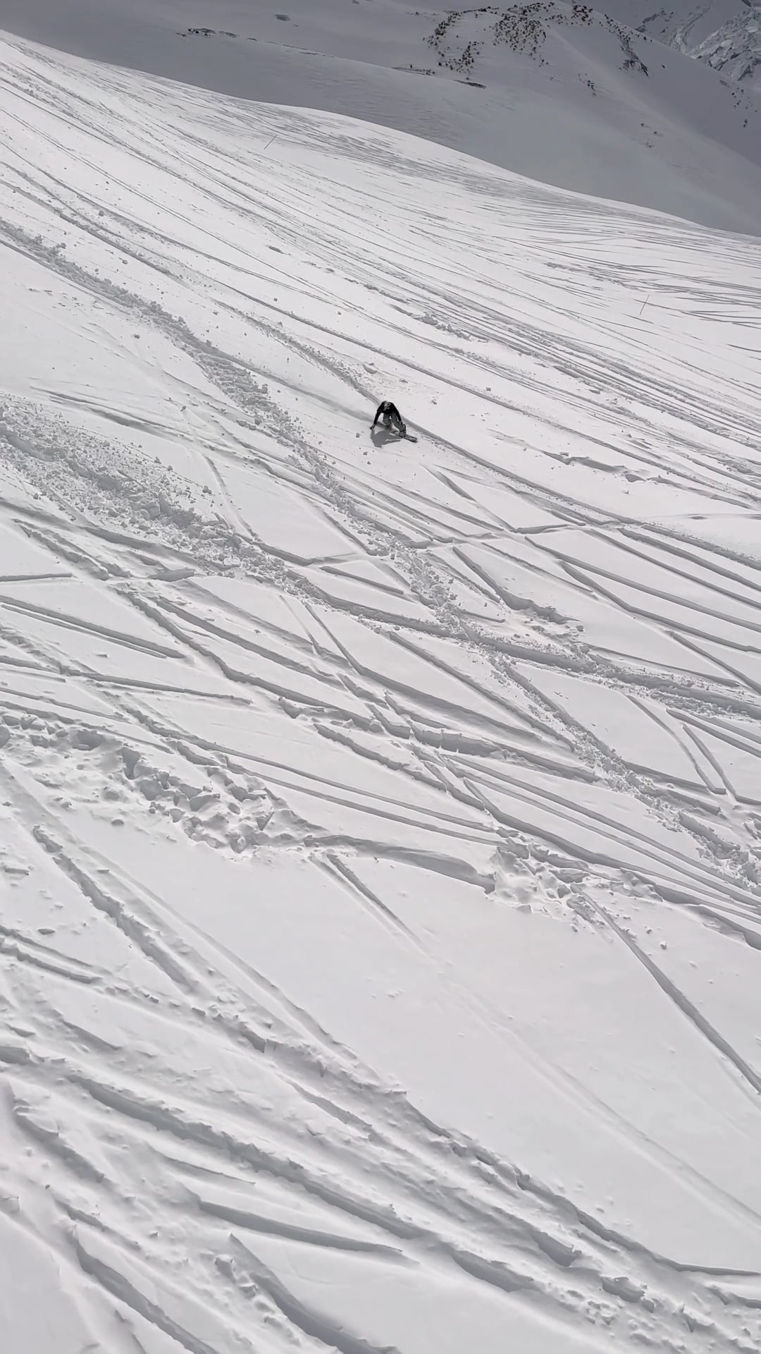 stock-video-from-the-catch-the-sun-pack-packsia