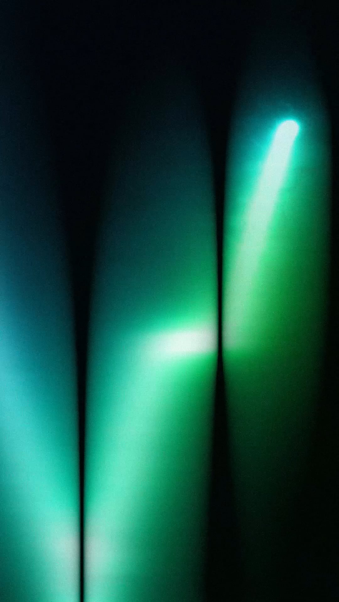 stock-video-from-the-life-in-plastic-pack-packsia