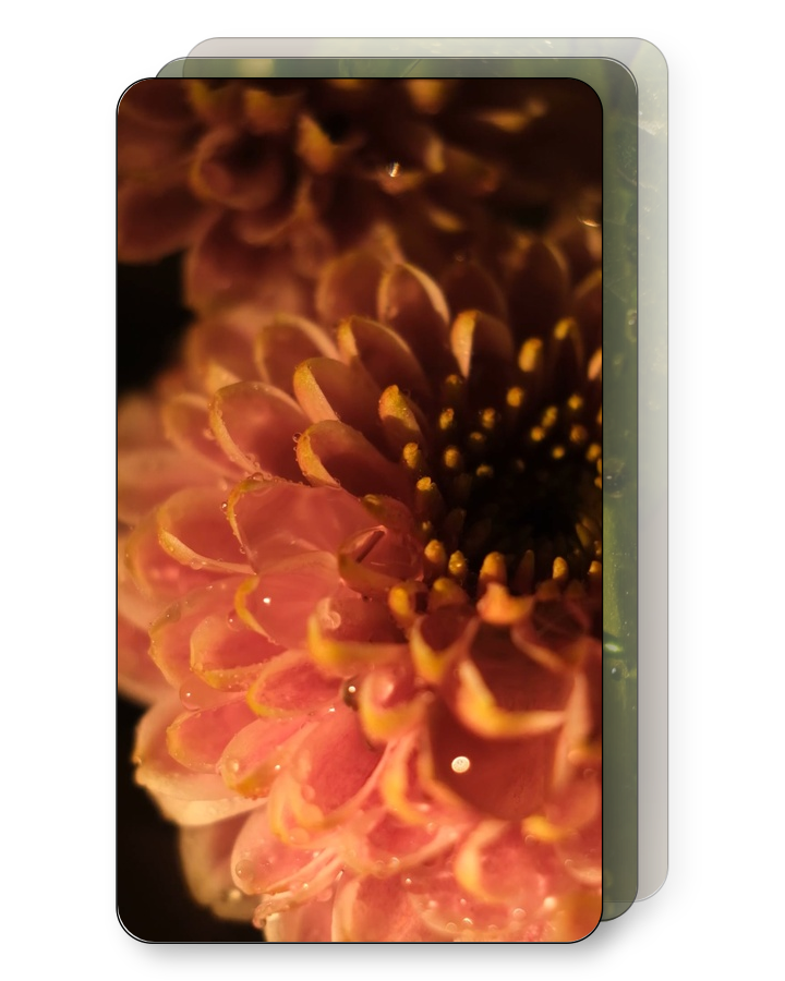 Garden Rain Pack Stock Vertical Video Collection on Packsia