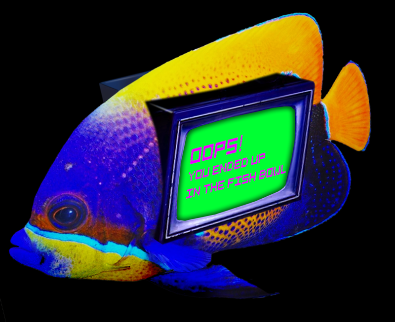 404 sorry you ended up in the fish bowl