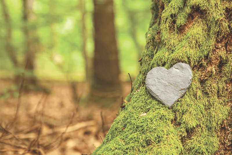 What Can I Do With Cremated Remains? 30 Meaningful Ways to Memorialize