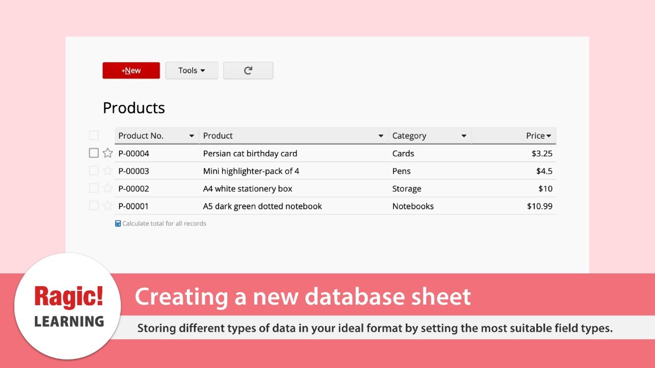 Getting Started With Ragic Databases