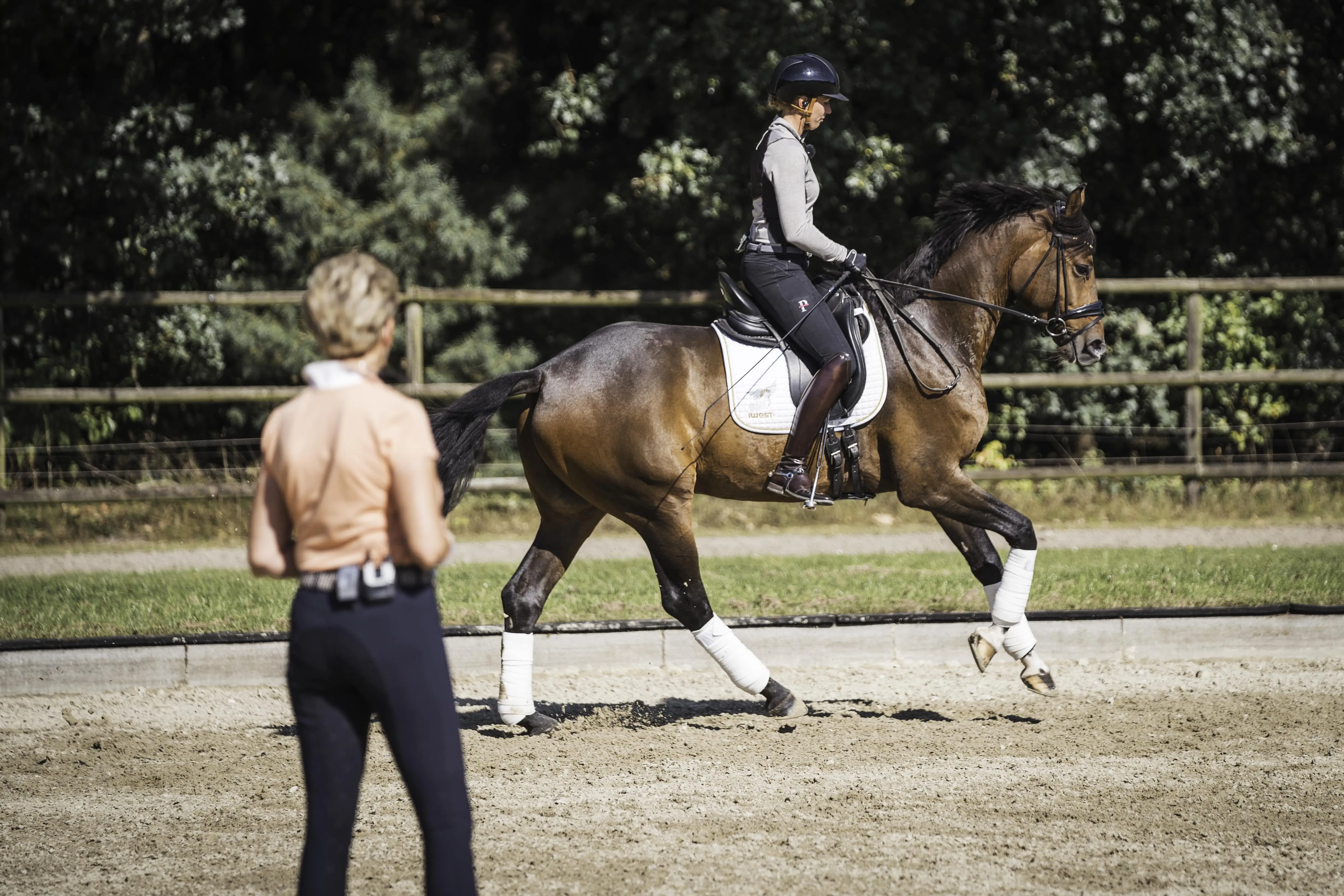 horse-training-plan-how-do-i-train-my-horse-properly-clipmyhorse-tv