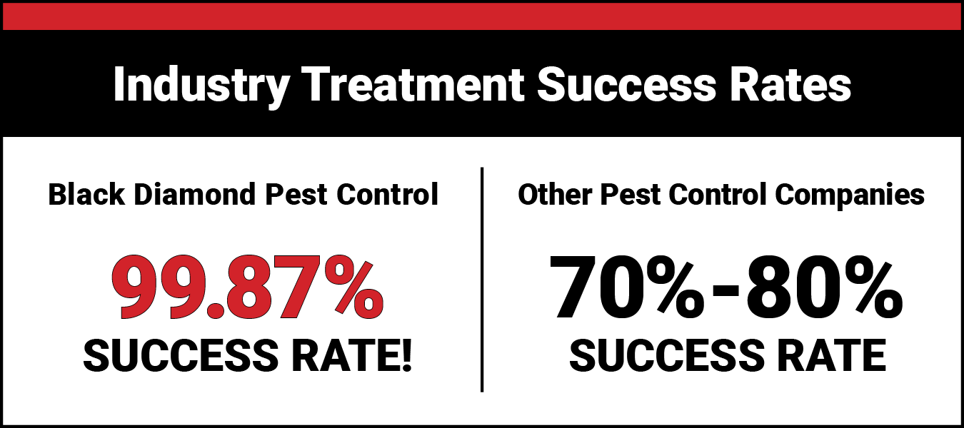 Termite Treatment Termite Control Termite SHIELD Black Diamond