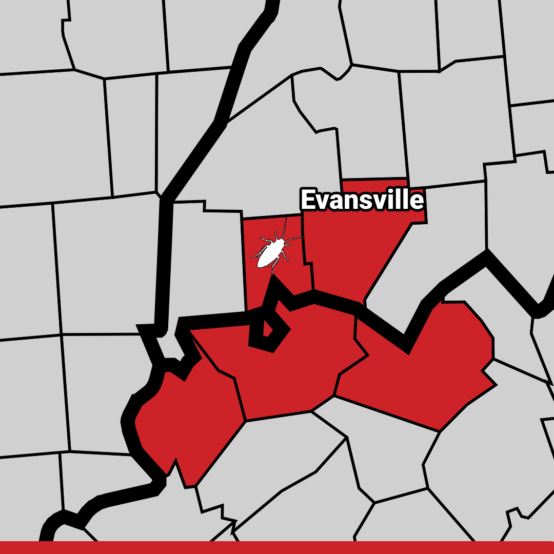 Pest Control Evansville, IN Exterminator Evansville Termite