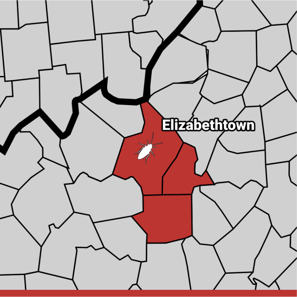 Pest Control Elizabethtown, KY Exterminator Elizabethtown Termite