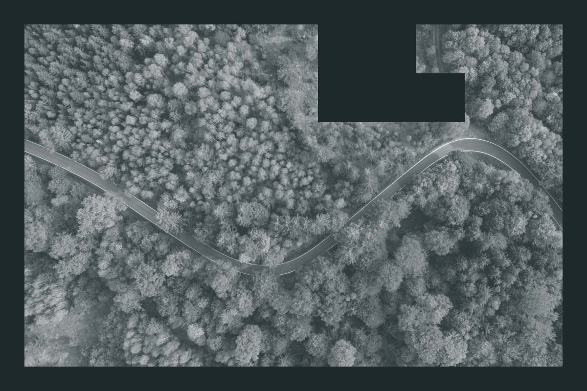 Offering carbon offsets as an employee benefit Sustain.Life