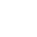 White Instagram Icon