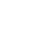 White phone icon