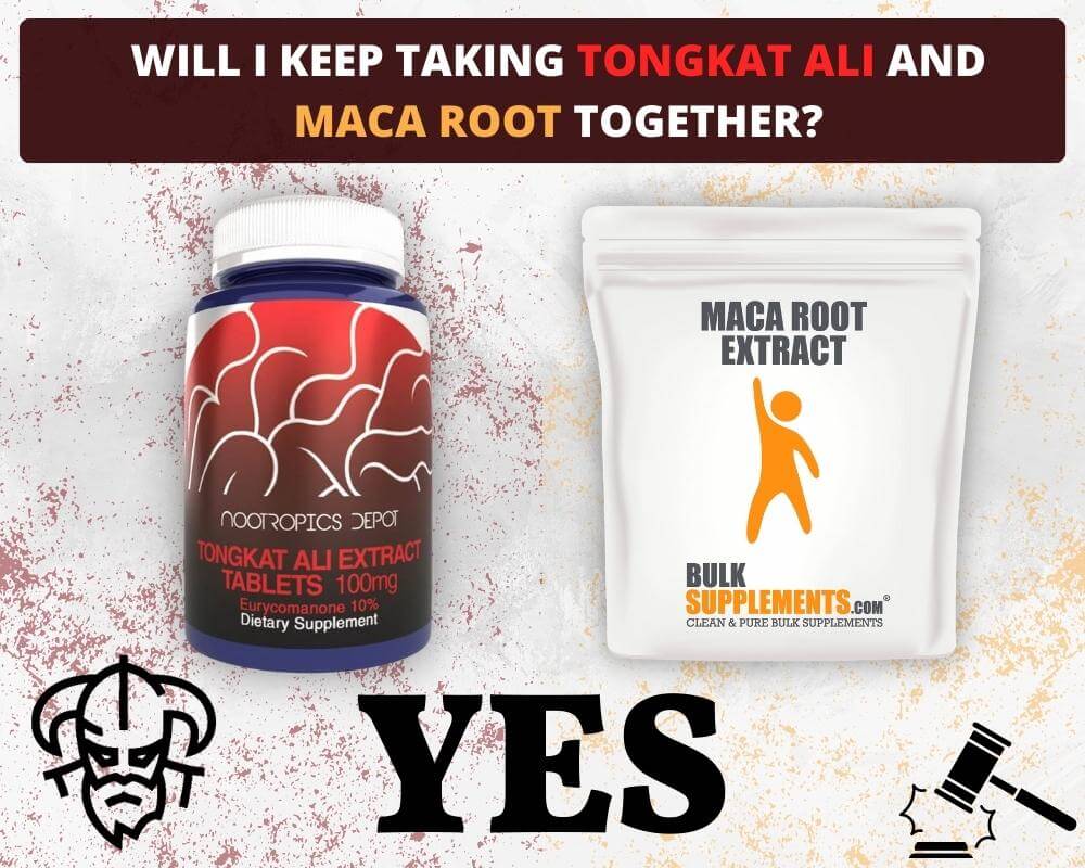Tongkat Ali and Maca Root Combined A Guide to Their Effects