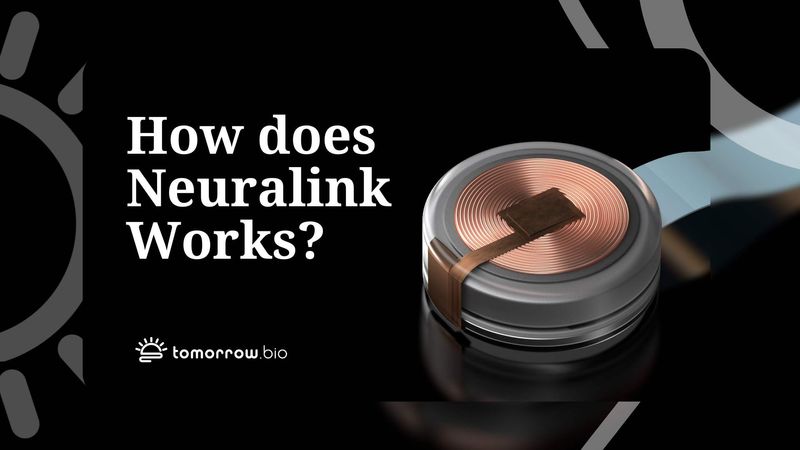 How does Neuralink Work?