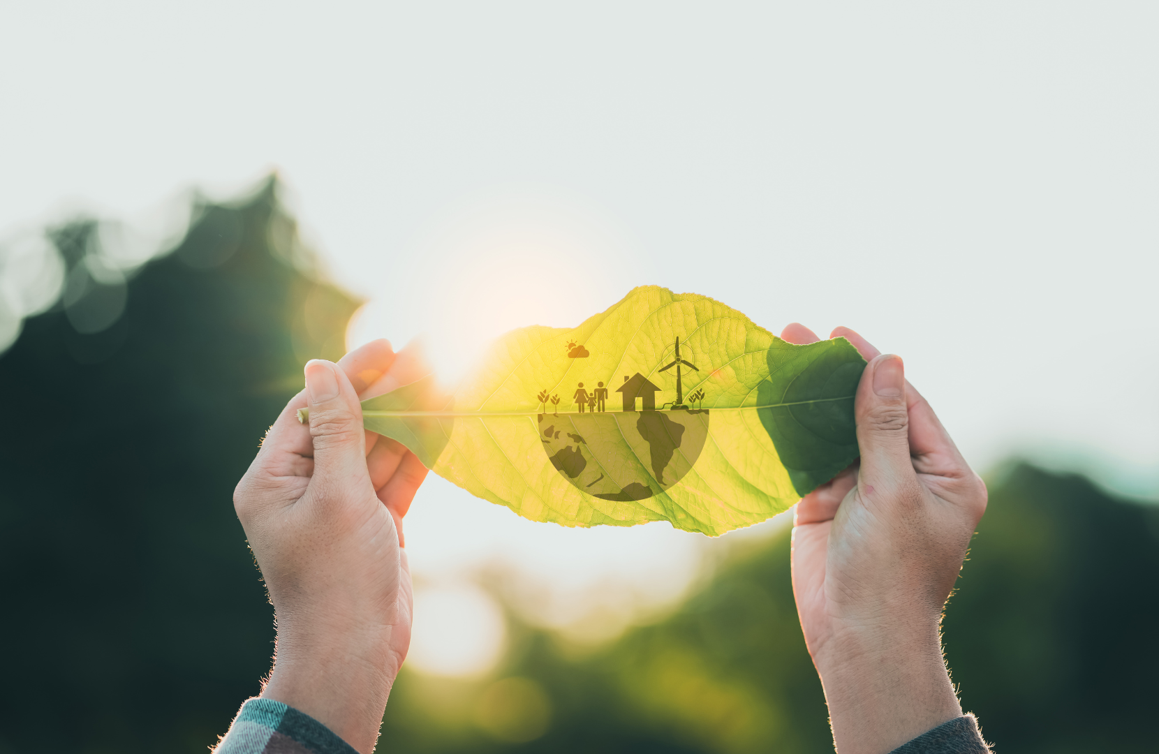 woman hand holding leaf with ESG icon concept.
