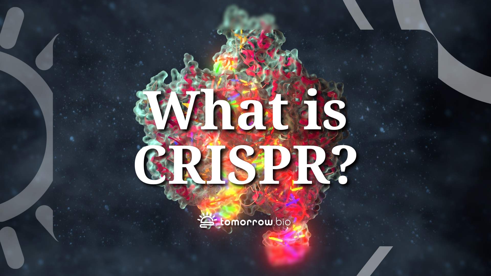 ¿Qué es CRISPR?