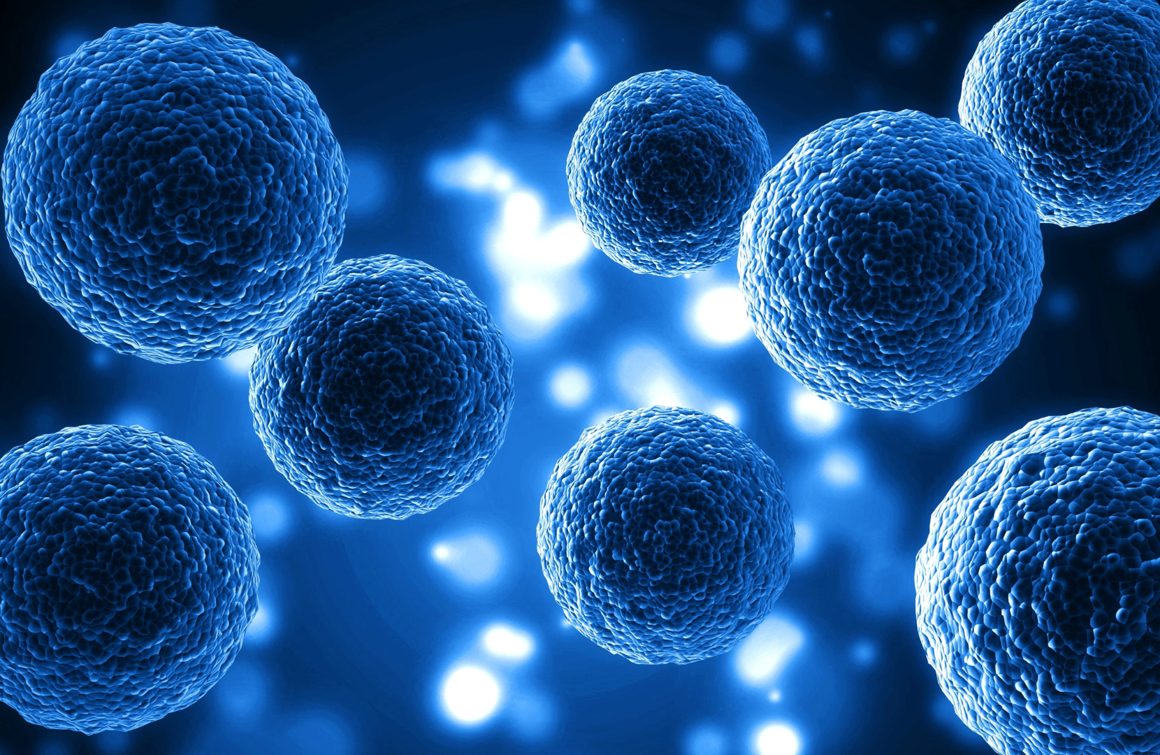 A few animated stem cells.