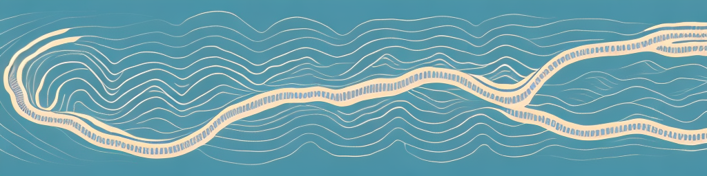 Uncovering the Secrets to Steve Schwarzman's Success