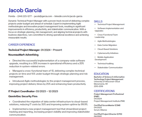 20 Project Manager CV Examples [+ Free Templates]