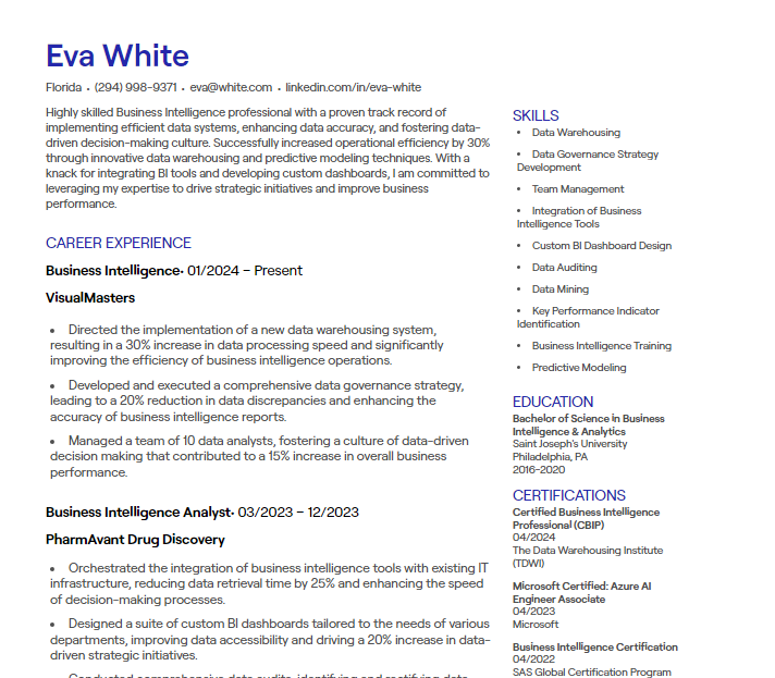 business intelligence cv