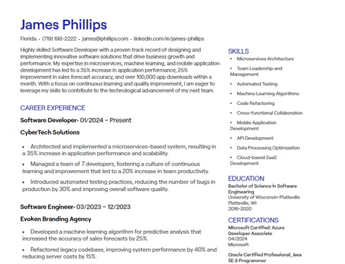 14 Software Developer CV Examples [+ Free Templates]