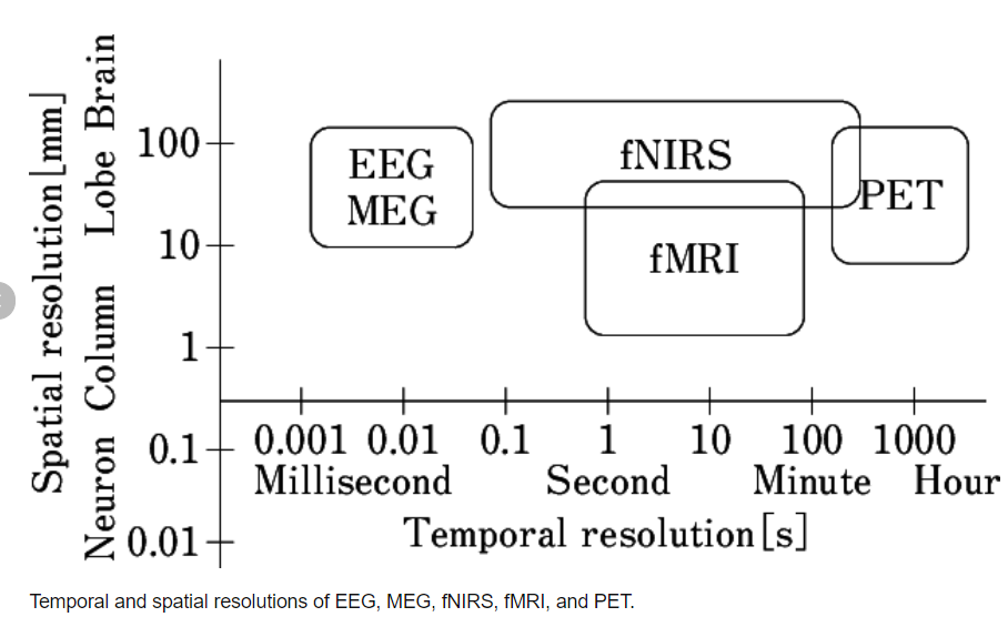 EEG Fun Facts: Temporal and Spatial Factors | Nov 03, 2023