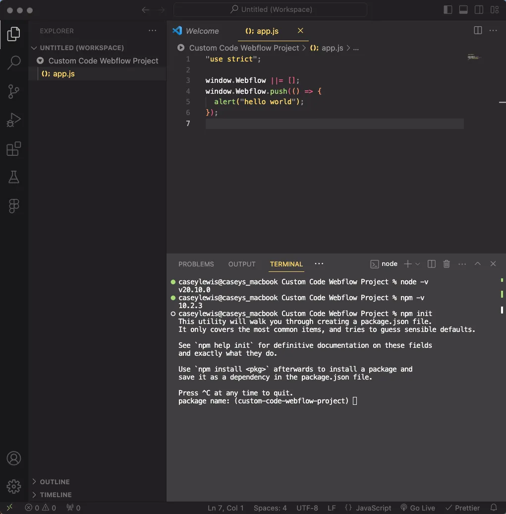 npm init custom code vs code custom code project webflow