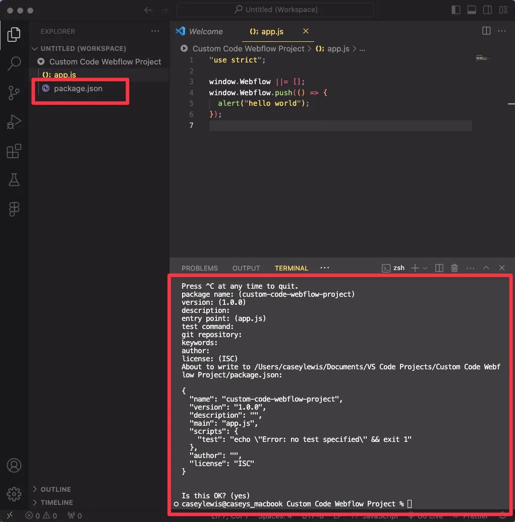 package json file created in vscode for custom code webflow project