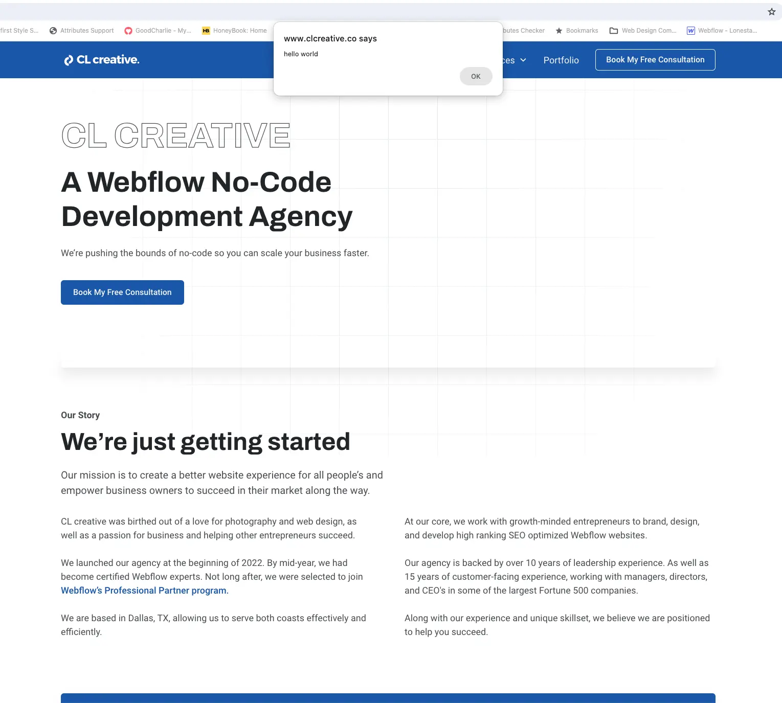 alert webflow project custom code in webflow with vscode